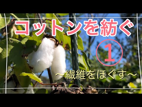 【糸紡ぎ・行程①】コットンの糸紡ぎ〜繊維をほぐす〜【Spinning Cotton "Carding"】