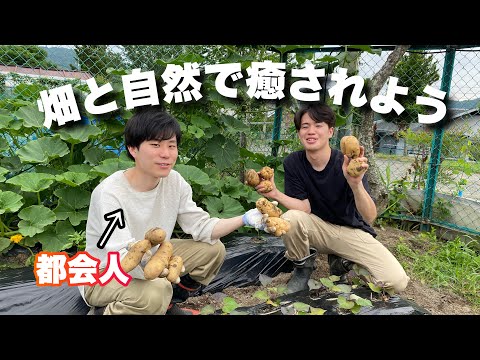 都会人を大自然で楽しませろ【家庭菜園】