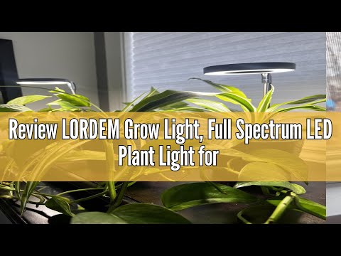 Review LORDEM Grow Light, Full Spectrum LED Plant Light for Indoor Plants, Height Adjustable Growing