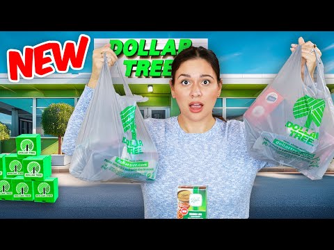 Dollar Tree Best Kept Secret: $1.25 Deals You Need To See