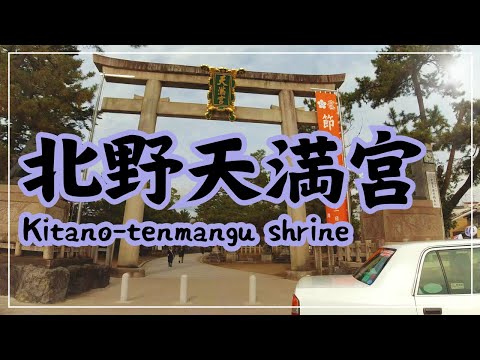 【3min Kyoto】3分で巡る「北野天満宮」~Kitano tenmangu shrine, Kyoto Japan~