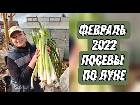 ЛУННЫЙ ПОСЕВНОЙ КАЛЕНДАРЬ НА ФЕВРАЛЬ 2022: ТОЧНЫЕ ДАТЫ | КАКИЕ ОВОЩИ И ЦВЕТЫ СЕЯТЬ В ФЕВРАЛЕ, 18+