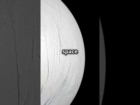 Enceladus  Could Actually Harbor Life #science #spaceexploration #spacediscovery #exoplanets