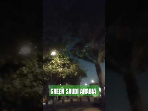 Green Saudi Arabia #savetheplanet #planttrees #viralclips #foryou #valuesinaction #youtubviralshorts