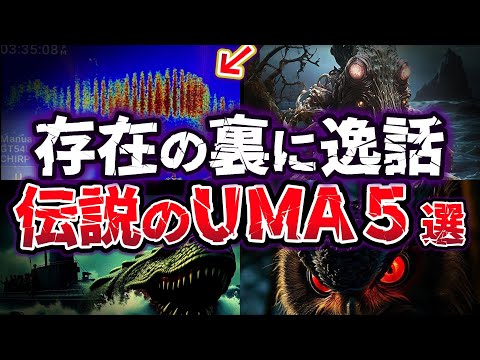 【ゆっくり解説】政府が隠す極秘UMA 有機体46 Bの軍事利用!? 幻の未確認生物５選