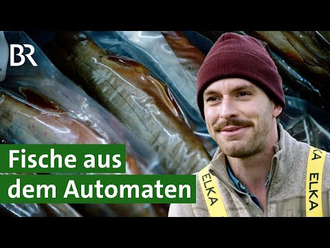 Fisch aus dem Automaten: Junger Fischwirt setzt auf Direktvermarktung | Unser Land | BR