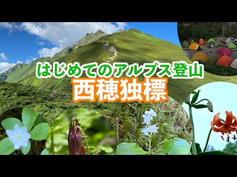 はじめてのアルプス登山  | 西穂独標 |       【 Gifu , Japan 】