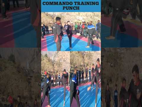 Commando Training Punch | Army Punch |Army lover | Commando lover #army #training #selfdifence #bsf