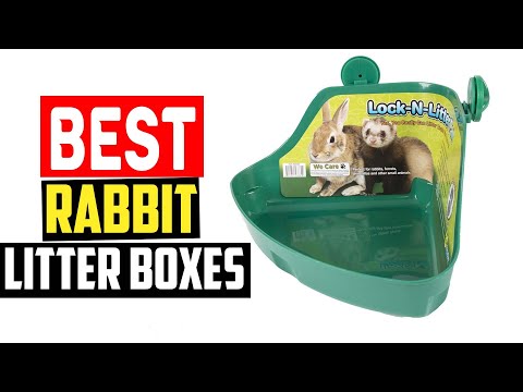 ✅Best Rabbit Litter Boxes in 2023