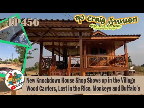 EP456 New Knockdown House Shop in the Village, Wood Carriers, Lost in Rice, Monkeys and Buffalo's