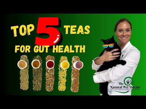 Top 5 Herbal Teas For Pet Gut Health - Holistic Vet Advice