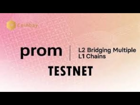 EASY WAY TO PERFORM PROM TESTNET |  How to perform Prom Testnet