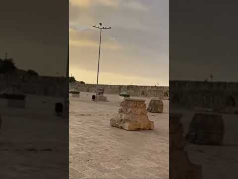 Al Aqsa mosque on the right then overlooking Mt Olive