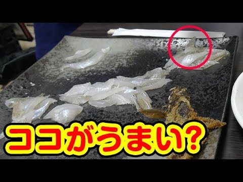 冬の海釣り【調理編】釣ったでかキスを料理！ベラは美味しいのか？天ぷら？刺身？？五目釣り