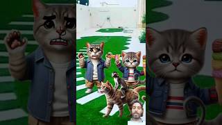 Cat video short #cat #kitty #kitten #funny #catvideos #catshorts #catlover #cartoon #cartoons