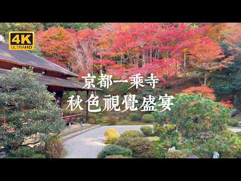 【Kyoto VLOG】Kyoto Full of Autumn Colors! A Day Trip to the Beautiful Autumn Foliage of Ichijo-ji