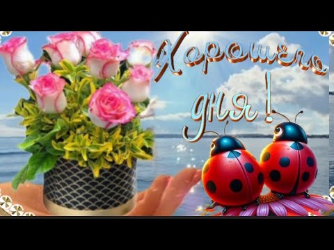 Сегодня будет замечательный день! ☀️🎶☕ ДОБРОЕ УТРО ~ ХОРОШЕГО ДНЯ! Музыкальная открытка ❤