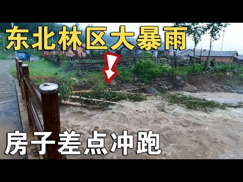 东北林区突降暴雨，河水暴涨至两米多深已达桥面，差一点就上房了【环华行913】