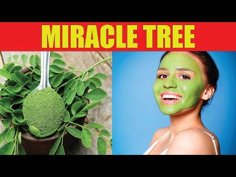 🌿 This Miracle Tree That Will Change Your LOVE life forever! #Moringa  #NaturalRemedies #MiracleTree