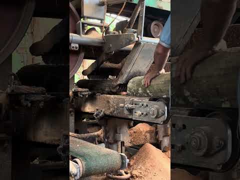 Wood cutting #wood #woodworking #machine #shortvideo #shorts #woodwork #woodcarving #woodshop