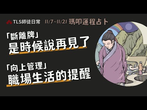 11/7~11/21 運程占卜｜一直不快樂我該要繼續嗎？等待還是離開？∣職場生活如何不踩雷【瑪叩牌卡‧占卜靈術】立冬的財運預測 提升能量吉方位