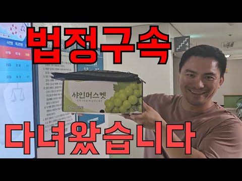 렉카유튜버  엄태웅 재판에 다녀왔습니다