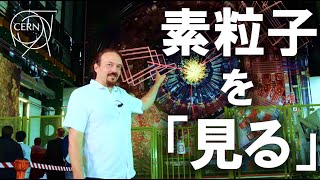 【第二話】“観測不可能”な粒子の見つけ方 | CERN公式（日本語字幕）