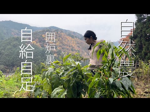 こんにゃく収穫と畑の様子、囲炉裏の火であたたまる　Japan countryside vlog