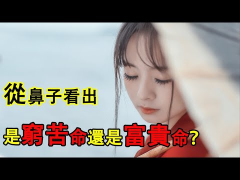 從鼻子看出你是窮苦命還是富貴命？這種鼻子事業順利，家庭美滿！|面相學|命理|