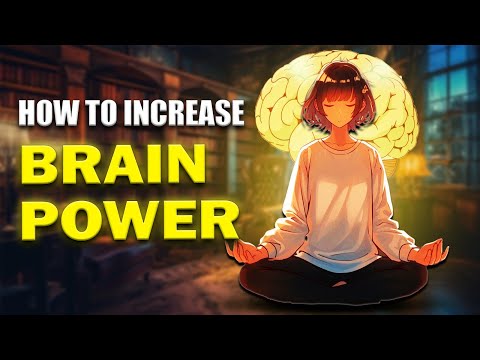 How To Increase Your Brain Power | How To Remember Information For A Longer Period | Letstute