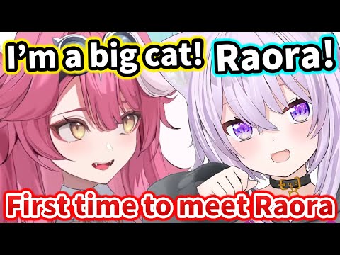 Okayu meets Raora for first time and Raora introduce herself Big Cat【Hololive】