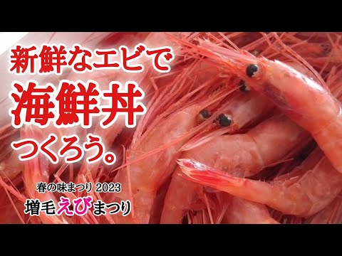 【北海道】旬の甘エビを求めて増毛えびまつりへ！おうちで作る豪華海鮮丼🤤