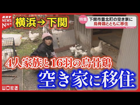 【移住】16羽の烏骨鶏と新生活！横浜から山口へ 家族の挑戦