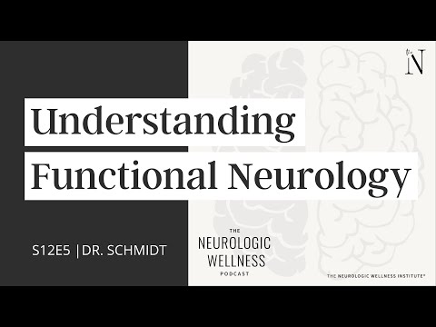 Understanding Functional Neurology