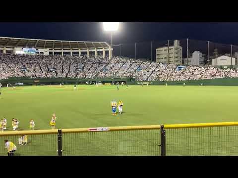 2024.8.28ソフトバンクＶＳオリックス戦！！ハリーホークとヴィヴィくん#nagasaki #長崎 #ソフトバンクホークス #オリックスバファローズ #Ｖ・ファーレン長崎#プロ野球 #jリーグ