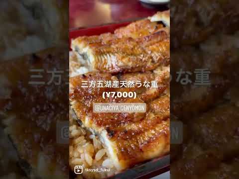 【福井グルメ】うなぎや 源与門さんで三方五湖産天然うな重(¥7,000)食べてきました【食レポ動画】#shorts