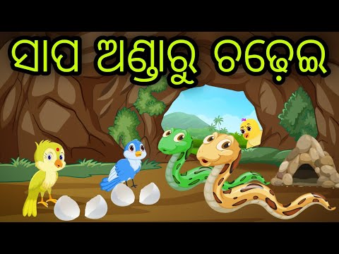 ସାପ ଅଣ୍ଡାରୁ ଚଢ଼େଇ | Sapa Andaru Chadhei | Tiki Chadhei Gapa | Odia Chadhei Gapa | New Story