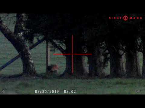 Fox shot with Sightmark Wraith HD, serious chicken loss to this one, daylight capable Night Vision!