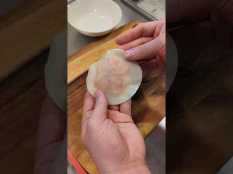 UFO dumplings