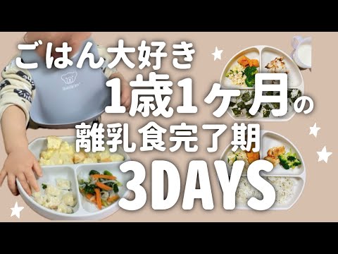 【1歳1ヶ月】ごはん大好き息子がモグモグする動画【離乳食完了期】