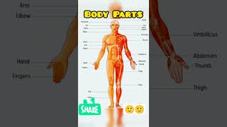 #bodypartsnameforkids #youtubeshorts #exploremore #explore #ytshort