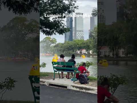 Lumpini Park | The last Lungs of Bangkok #travel  #thaitourism #thailand #youtubeshorts #travelvlog