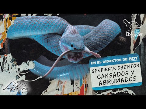 #Didaktos -  Serpiente SHEFIFON - 22 de Octubre del 2024  #EbenezerSCV