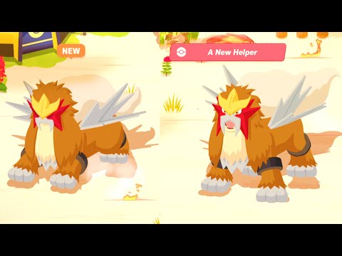 I caught Entei in Pokémon Sleep! How good is it?