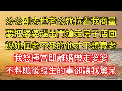 公公剛去世老公就拉着我商量，要把婆婆趕出門搶走房子店面，說她個老不死的他才不想養老，我怒極當即離婚帶走婆婆，不料隨後發生的事卻讓我驚呆