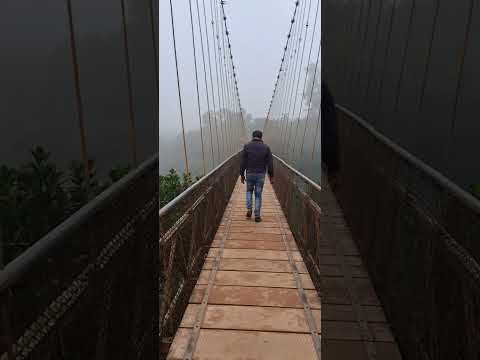 #walking #hangingbridge #bridge #hanging #tourism #tourist #nature #fog  #foggy #river #winter