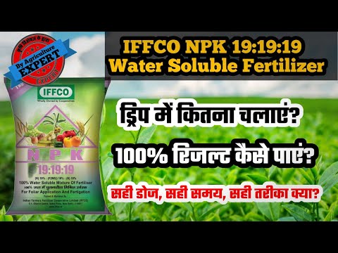 IFFCO N:P:K 19:19:19 Ka Ye Baat Koi Nahi Batata hai | IFFCO water Soluble Fertilizer