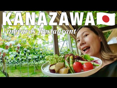 KANAZAWA (ISHIKAWA)🇯🇵 Grapes Farm Restaurant with Fresh Local Vegetables 🍇✨ Japan Travel Vlog