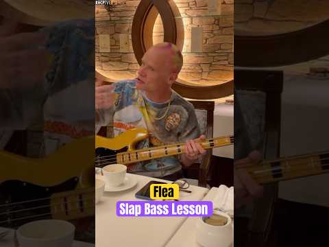 Flea - Slap Bass Lesson #rhcp #redhotchilipeppers #live #shorts