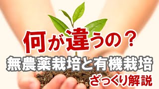 【ざっくりと解説】無農薬栽培と有機栽培って何が違うの？